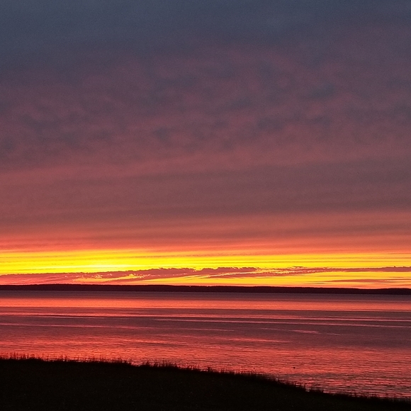 Meet your Posher, Gyu-na - Picture 2 of 2